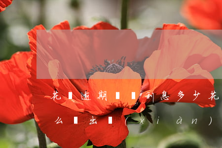 花唄逾期沒還利息多少(花唄逾期還款了為什么還出現(xiàn)利息未還款)