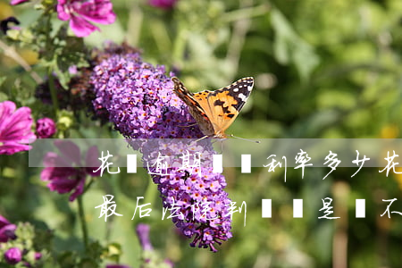 花唄逾期沒還利率多少(花唄逾期利息還不了最后法院判決還是還不了)