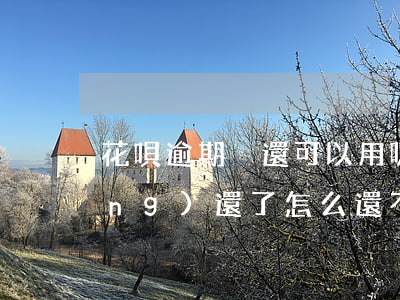 花唄逾期沒還可以用嗎(花唄逾期已經(jīng)還了,怎么還不可以用花唄)