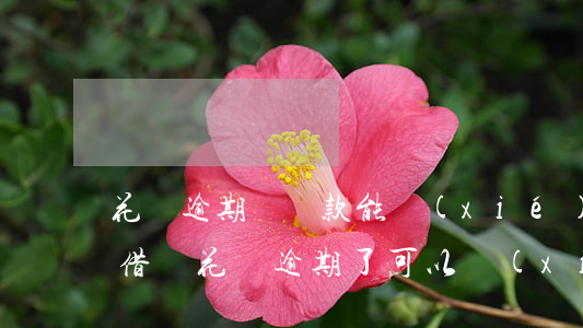 花唄逾期沒還款能協(xié)商嗎(支付寶借唄花唄逾期了可以協(xié)商還款嗎)