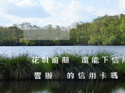 花唄逾期沒還能下信用卡嗎(花唄逾期沒還影響辦別的信用卡嗎)