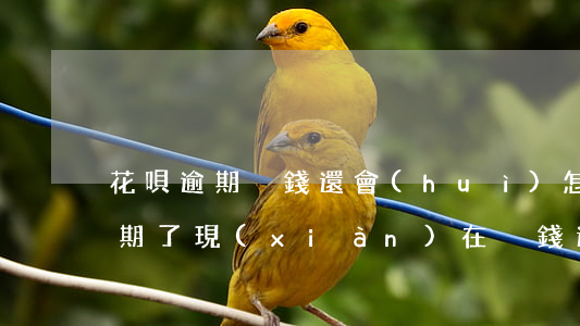 花唄逾期沒錢還會(huì)怎么樣(花唄逾期了現(xiàn)在沒錢還幾個(gè)月以后還可以嗎)