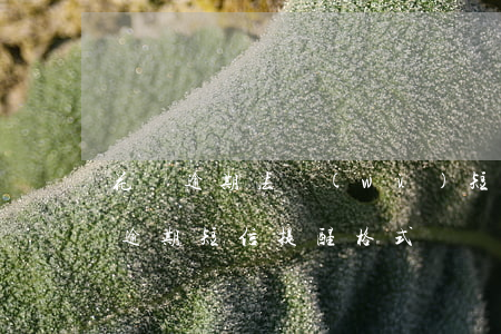 花唄逾期法務(wù)短信文本(支付寶花唄逾期短信提醒格式)