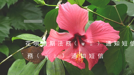 花唄逾期法務(wù)通知短信(花唄逾期法務(wù)通知短信)