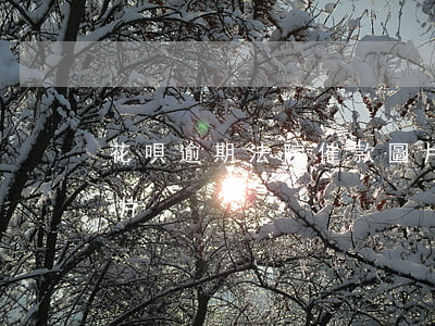 花唄逾期法院催款圖片(花唄逾期法院催款圖片)