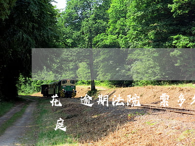 花唄逾期法院傳票多久開庭(花唄起訴多久開庭)