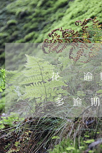 花唄逾期法院執(zhí)行 花唄欠款2萬多逾期已收到法院起訴