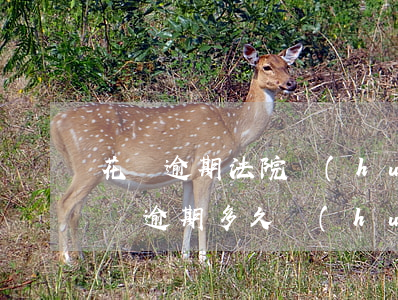 花唄逾期法院會(huì)起訴嗎(花唄和借唄逾期多久會(huì)讓法院起訴了)