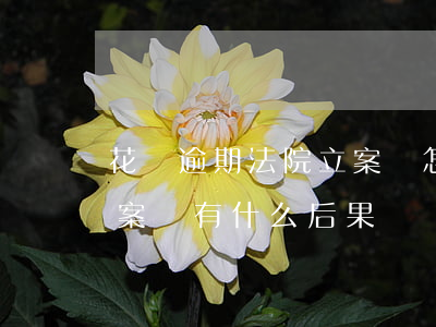 花唄逾期法院立案會怎樣(支付寶花唄逾期立案會有什么后果)