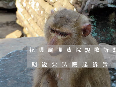 花唄逾期法院說敗訴怎么辦-支付寶花唄逾期說要法院起訴我