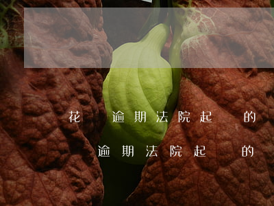 花唄逾期法院起訴的話支付寶有顯示嗎-花唄逾期法院起訴的話支付寶有顯示嗎