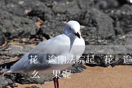 花唄逾期法院起訴(花唄逾期法院起訴會是什么結果呢?)