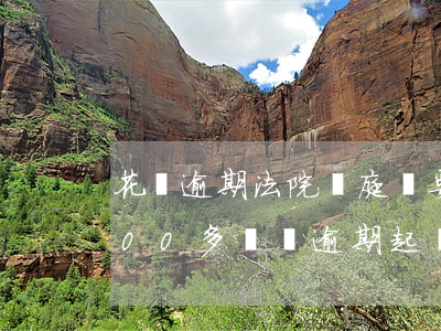 花唄逾期法院開庭費要多少錢(花唄欠了4000多塊錢逾期起訴法院要做多少年的牢)