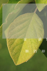 花唄逾期消掉可以抹去信用污點嗎-花唄逾期消掉可以抹去信用污點嗎安全嗎