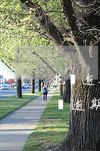 花唄逾期涉及刑事責(zé)任(支付寶的花唄逾期了有什么后果)