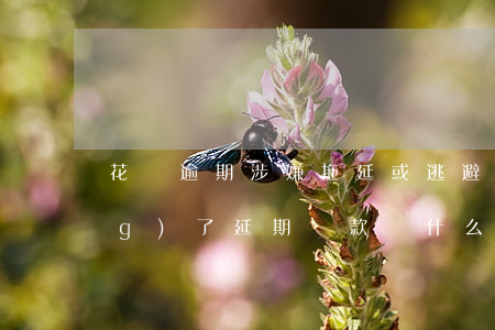 花唄逾期涉嫌拖延或逃避(花唄申請(qǐng)了延期還款為什么還是逾期了)