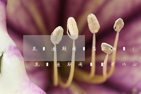 花唄逾期淘寶店收的錢(qián)(支付寶花唄逾期,淘寶還可以正常買(mǎi)東西嗎0)