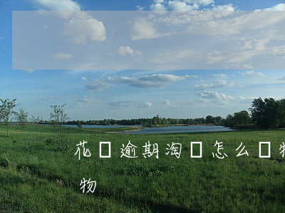 花唄逾期,淘寶怎么購物呢（花唄逾期支付寶購物）
