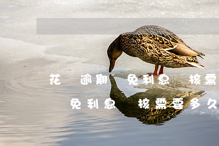 花唄逾期減免利息審核需要多久-花唄逾期減免利息審核需要多久通過