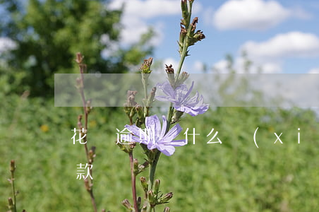 花唄逾期為什么協(xié)商不了延期還款