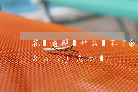 花唄逾期為什么還不了款(欠了花唄逾期會(huì)怎么樣)