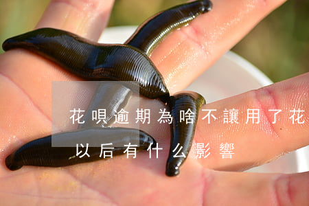 花唄逾期為啥不讓用了(花唄逾期用不了了,對以后有什么影響)