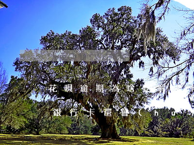 花唄逾期為啥要解綁卡(支付寶花唄逾期解綁銀行卡還會(huì)扣錢嗎)