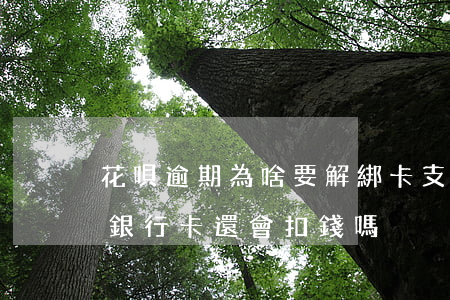花唄逾期為啥要解綁卡(支付寶花唄逾期解綁銀行卡還會扣錢嗎)
