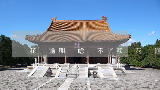 花唄逾期為啥還不了款-花唄逾期還款后為什么不可以正常使用
