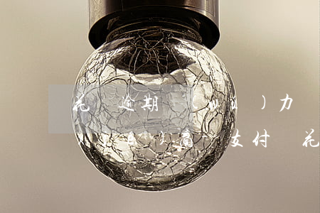 花唄逾期無(wú)力償還支付寶不肯協(xié)商-支付寶花唄逾期不能協(xié)商