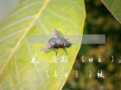 花唄逾期無(wú)法使用會(huì)不會(huì)被凍結(jié)-花唄逾期無(wú)法使用會(huì)不會(huì)被凍結(jié)銀行卡