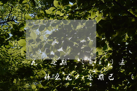 花唄逾期無(wú)法開(kāi)通還款(為什么花唄逾期已經(jīng)還了,但是用不了花唄)