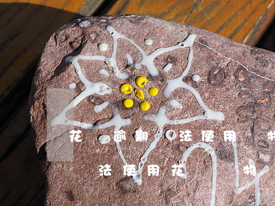 花唄逾期無法使用購物(我花唄沒有逾期但是無法使用花唄購物)