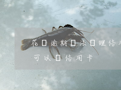 花唄逾期無法辦理信用卡(花唄逾期是不是不可以辦信用卡)