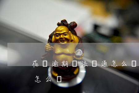 花唄逾期無法開通怎么辦(花唄逾期無法開通怎么辦)
