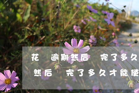 花唄逾期然后還完了多久才能使用(花唄逾期然后還完了多久才能使用額度)