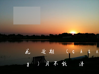 花唄逾期產(chǎn)生利息當(dāng)月不能還清嗎