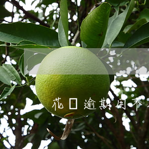 花唄逾期用不用利息嗎
