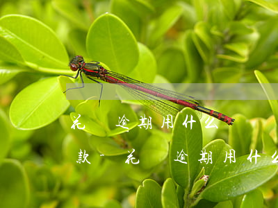 花唄逾期用什么電話號(hào)碼催你還款-花唄逾期用什么電話號(hào)碼催你還款呢