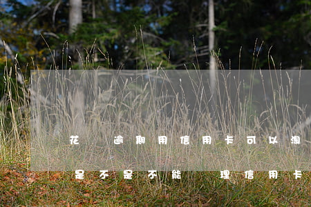 花唄逾期用信用卡可以淘寶(花唄有逾期記錄是不是不能辦理信用卡)