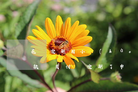 花唄逾期用小號(hào)會(huì)扣款嗎(支付寶逾期了申請小號(hào)會(huì)被扣款嗎)