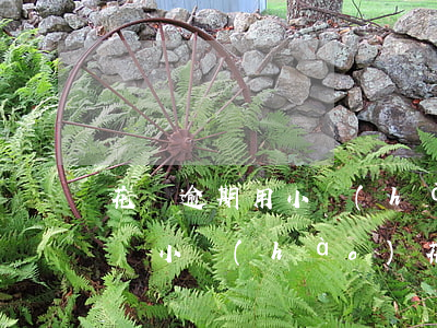 花唄逾期用小號(hào)能租機(jī)嗎(小號(hào)花唄逾期了,大號(hào)花唄還能用嗎)