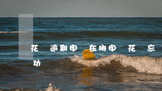 花唄逾期申訴在哪申訴(花唄忘記還款申訴成功)