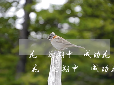 花唄逾期申訴成功花唄能恢復(fù)嗎-花唄逾期申訴成功花唄能恢復(fù)嗎安全嗎