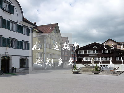 花唄逾期申訴說(shuō)什么理由(花唄逾期多久會(huì)被起訴?花唄逾期怎么辦)