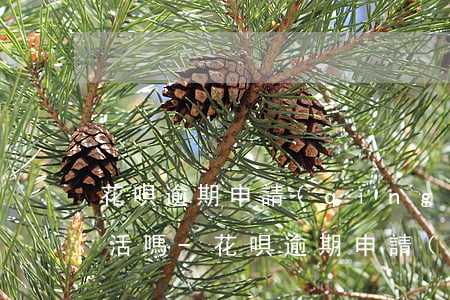 花唄逾期申請(qǐng)信用卡了可以激活嗎-花唄逾期申請(qǐng)信用卡了可以激活嗎安全嗎