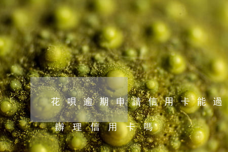 花唄逾期申請信用卡能過嗎(花唄逾期過還能辦理信用卡嗎)