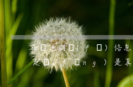 花唄逾期發(fā)信息說(shuō)要走訪(fǎng)是真的嗎-花唄逾期發(fā)信息說(shuō)要走訪(fǎng)是真的嗎嗎
