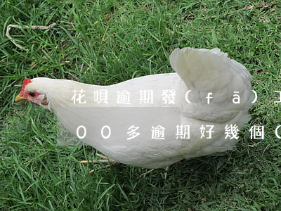 花唄逾期發(fā)工資怎么辦(欠花唄5000多逾期好幾個(gè)月沒(méi)還打電話(huà)來(lái)催不用坐牢吧)