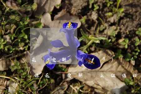 花唄逾期發(fā)現(xiàn)沒上征信(花唄逾期沒上征信公積金貸款能查出來嗎)
